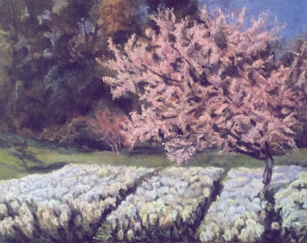 Barbara Jost art landscapes flowers blossoms master copy