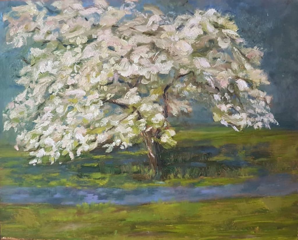 Barbara Jost oil paintings landscape blooms trees