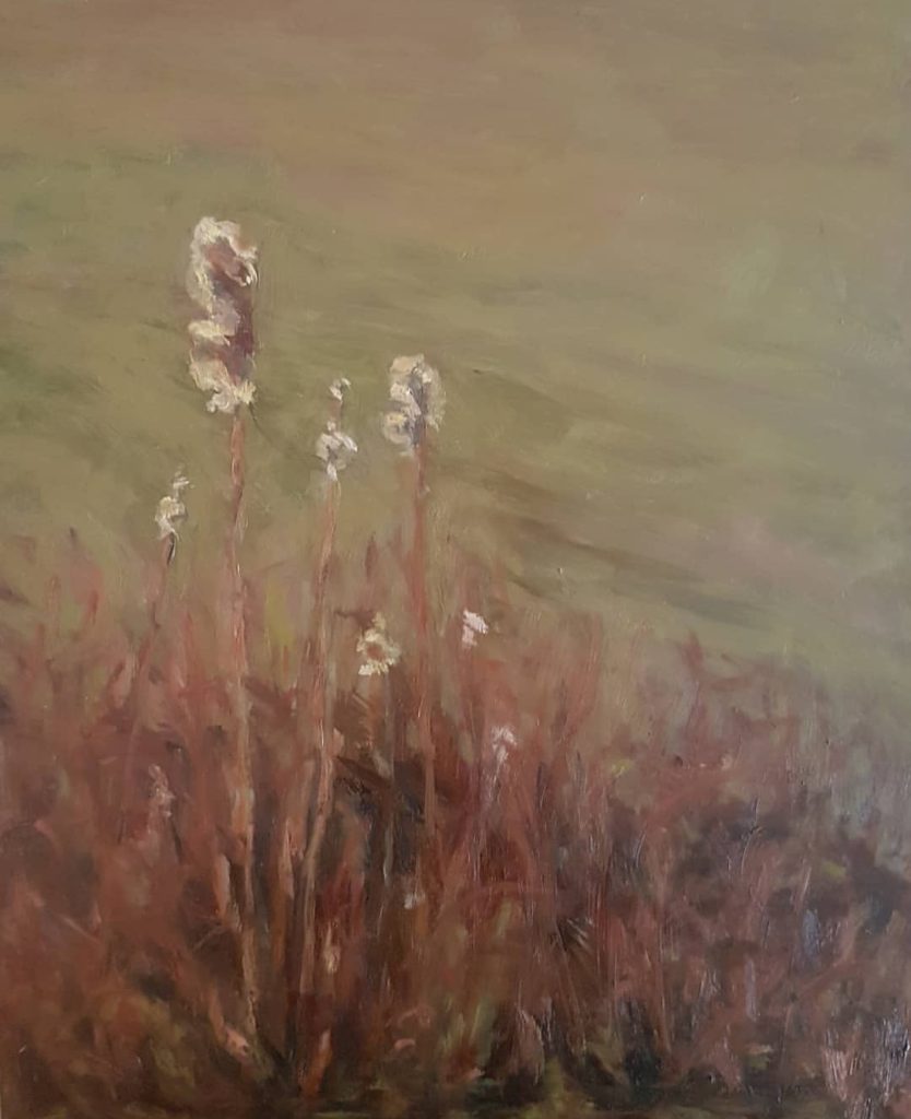 Barbara Jost Art plein air cattails oil paintins