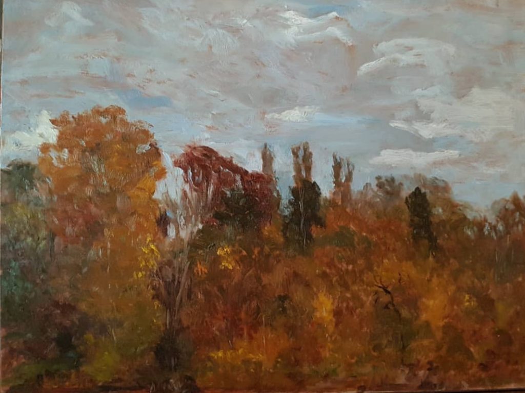 BarbaraJostArt oil paintings art landscapes plein air