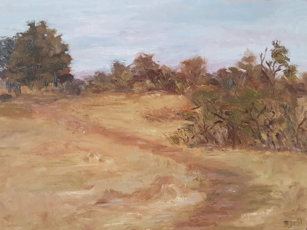 BarbaraJostArt oil paintings plein air landscapes 